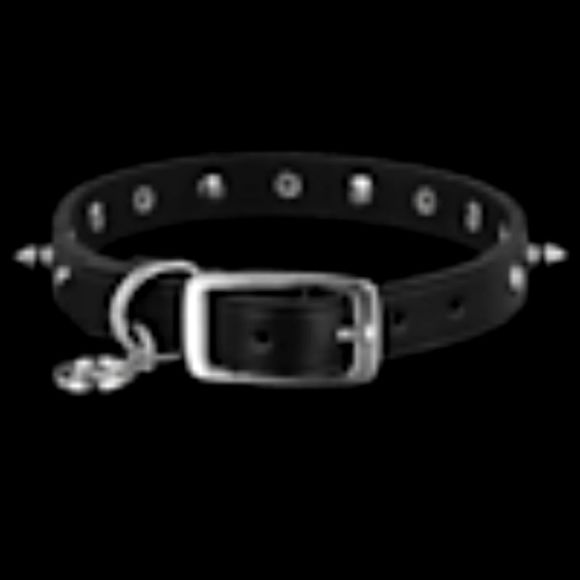 Bond & Co. Black Leather Spike Dog Collar, Small - Picture 1 of 2